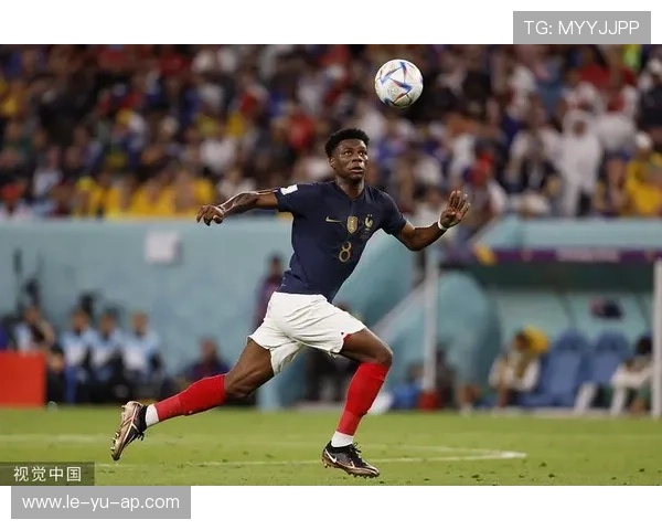 楚阿梅尼防守数据亮眼,强势表现助力球队稳固中场 楚阿梅尼防守数据亮眼,强势表现助力球队稳固中场